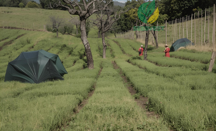 Organic Farming Initiative for Sustainab