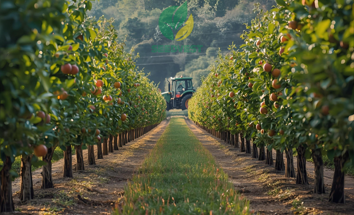 Secured Orchard Investment California