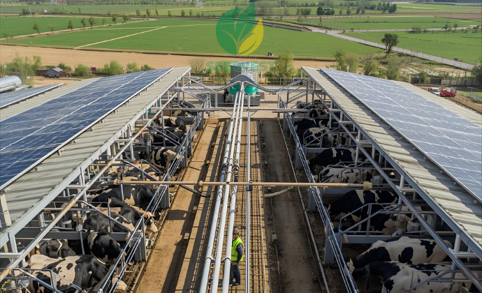 Sustainable Livestock & Dairy Modernizat