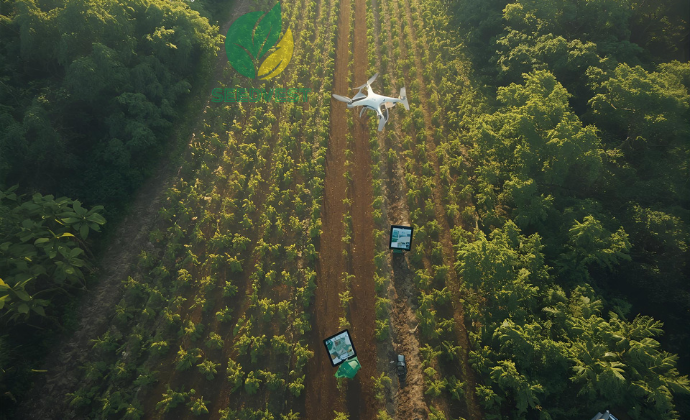 Strategic Forestry & Reforestation