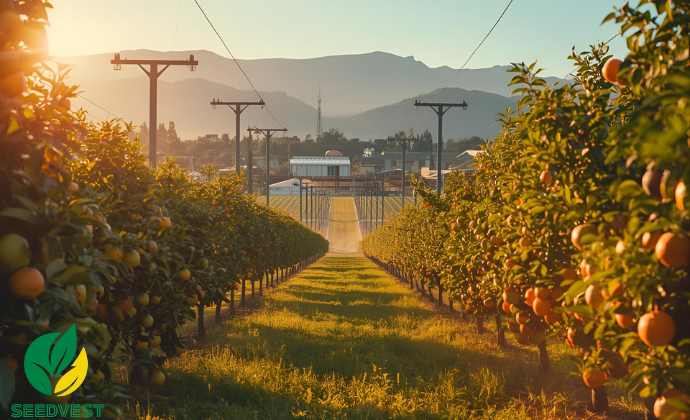 Project Gallery Image